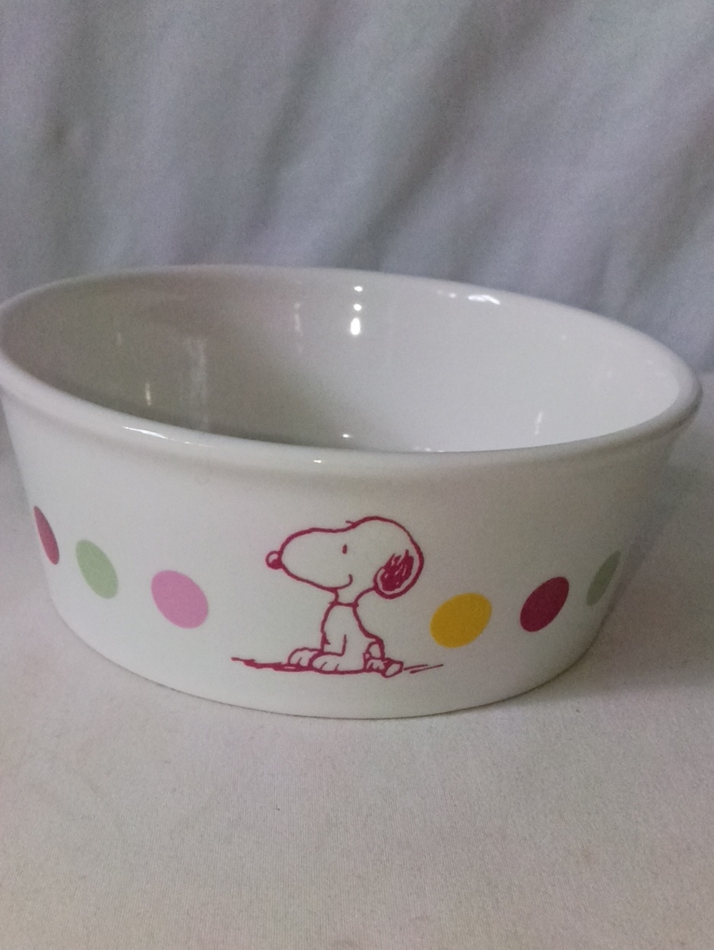 PEANUTS Snoopy & Woodstock Collectors Pet Bowl